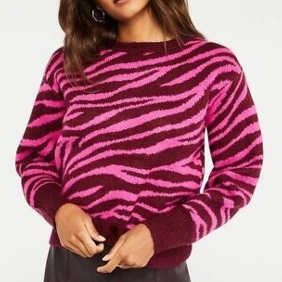 Ann Taylor Pink & Burgundy Zebra Striped Wool Blend Sweater Sz XL NWT - Picture 2 of 6